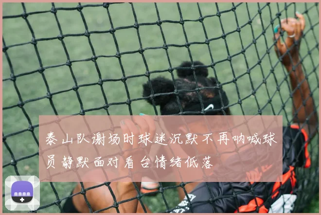 泰山队谢场时球迷沉默不再呐喊球员静默面对看台情绪低落