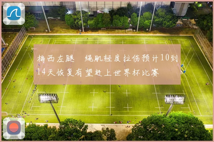 梅西左腿腘绳肌轻度拉伤预计10到14天恢复有望赶上世界杯比赛