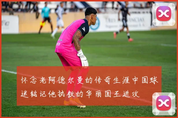 怀念老阿德尔曼的传奇生涯中国球迷铭记他执教的华丽国王进攻